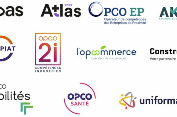 Les OPCO : Opérateurs de Compétences